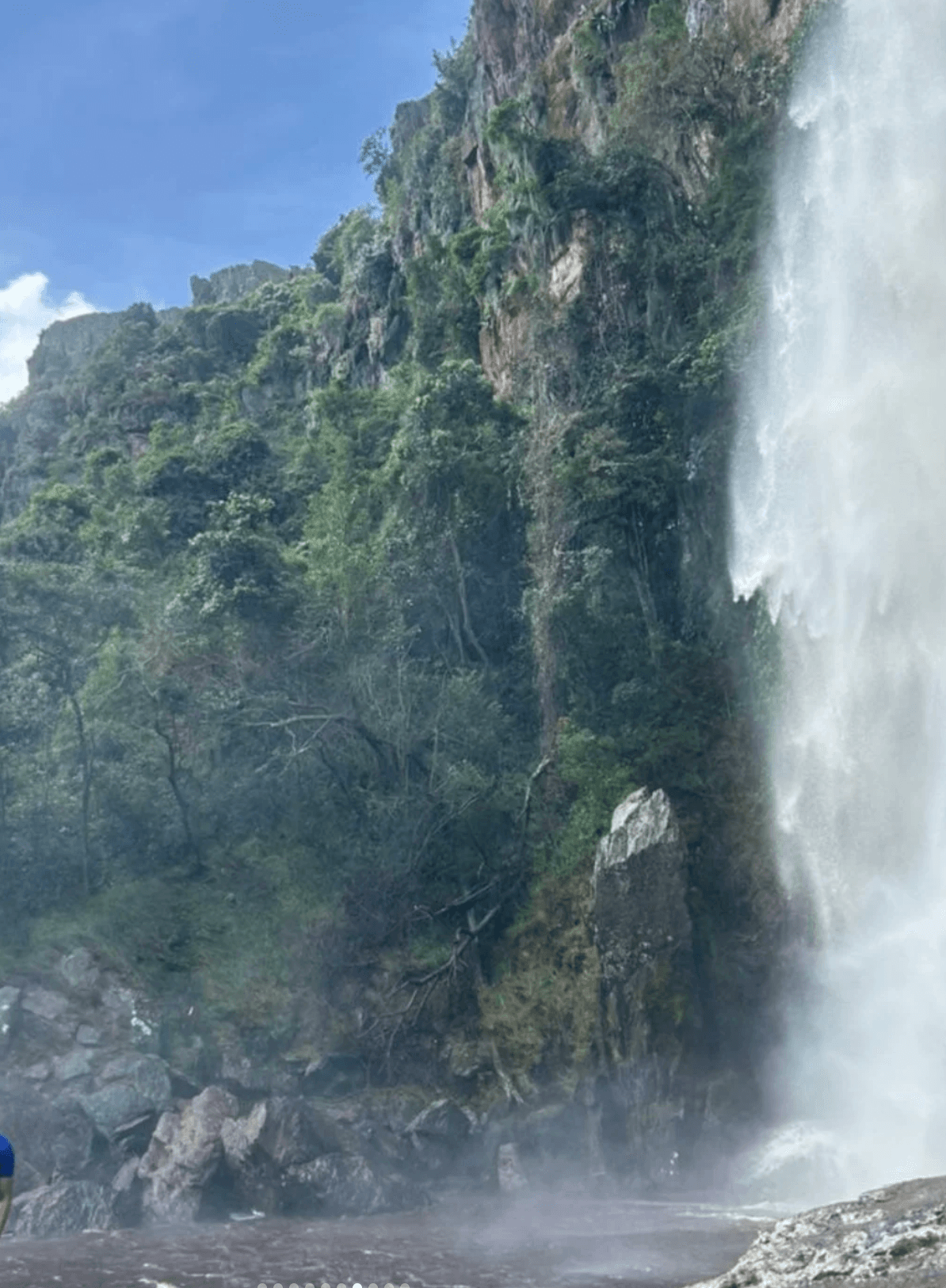 🌿 Parque Dinira & La Cascada del Vino Donde la naturaleza escribe su historia más salvaje